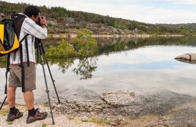 Passeios fotograficos wildlifeportugal